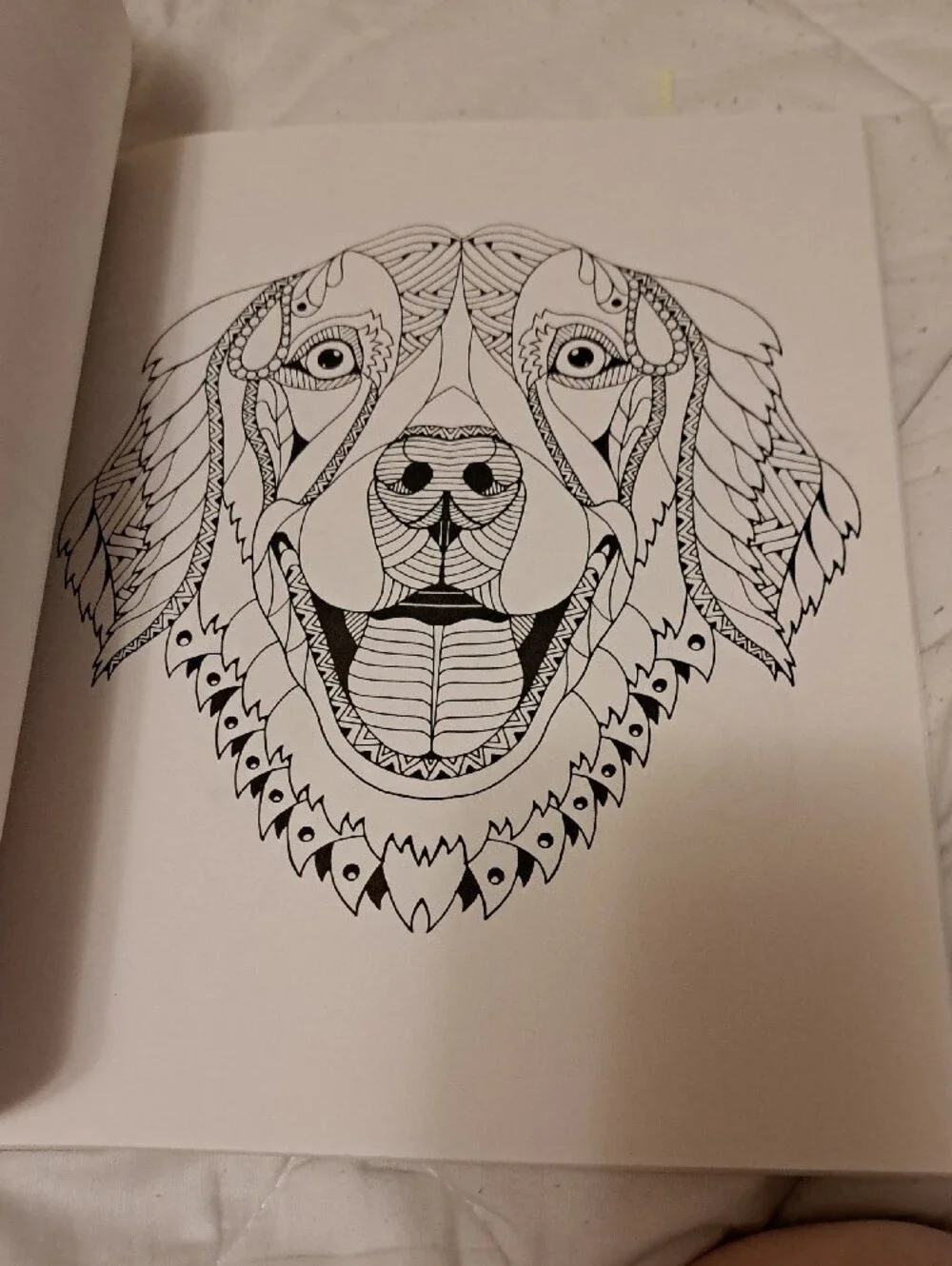 Colorama Delightful Dogs Coloring Book by Bullhead – Multicolor